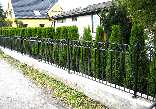 ArtSteel Fence 12